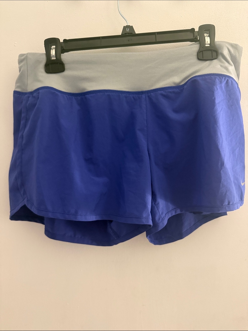Nike Women’s Purple Athletic Shorts with Light Gray Waistband